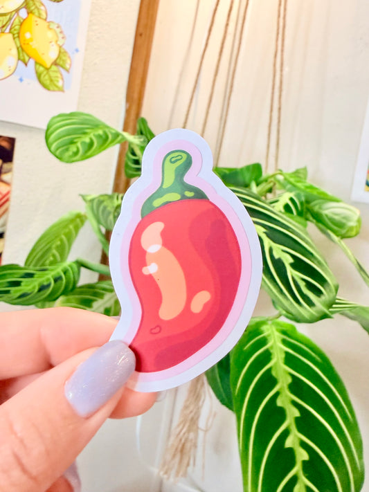 Hand holding a sticker of a chili pepper with pink outline with a plant in the background.