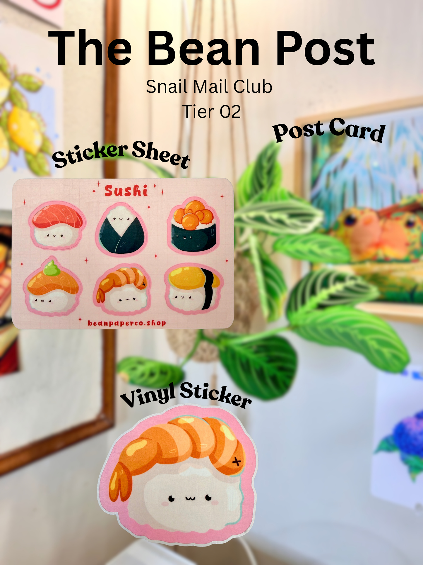The Bean Post Snail Mail Club | Tier 02 (USA)